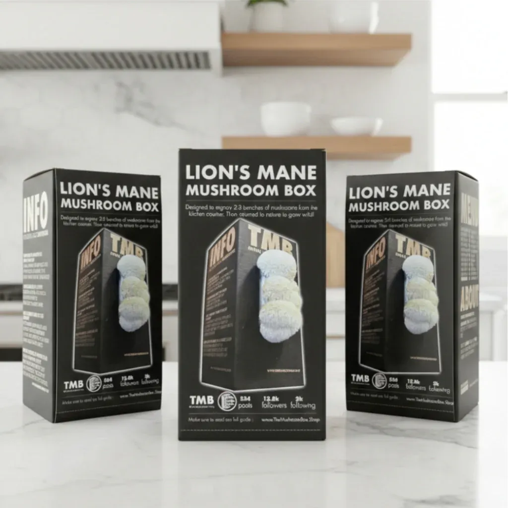 Lion's Mane 3.webp