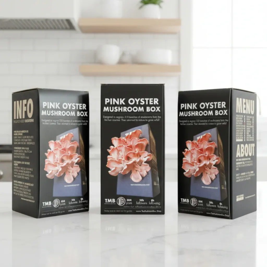 Pink Oyster 4.webp