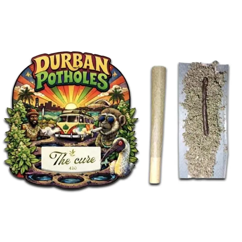 Durban Potholes 2a.webp