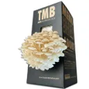 Mushroom Grow Box - White Enoki Mushrooms